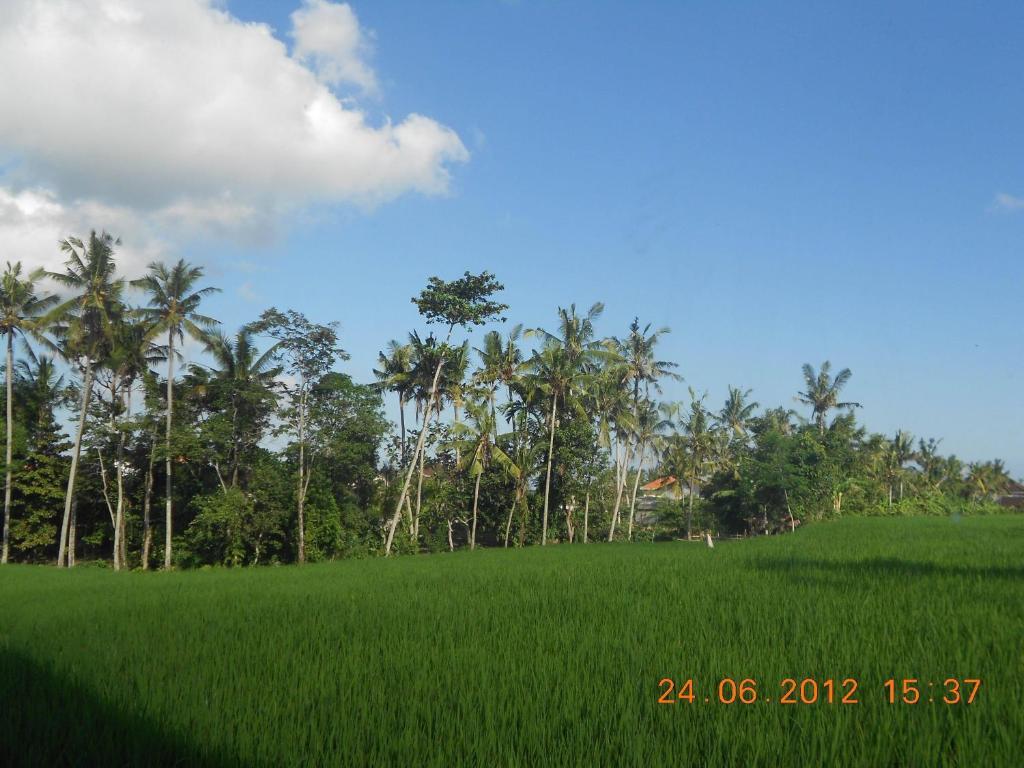 Villa Jasmine B&B Ubud Quarto foto